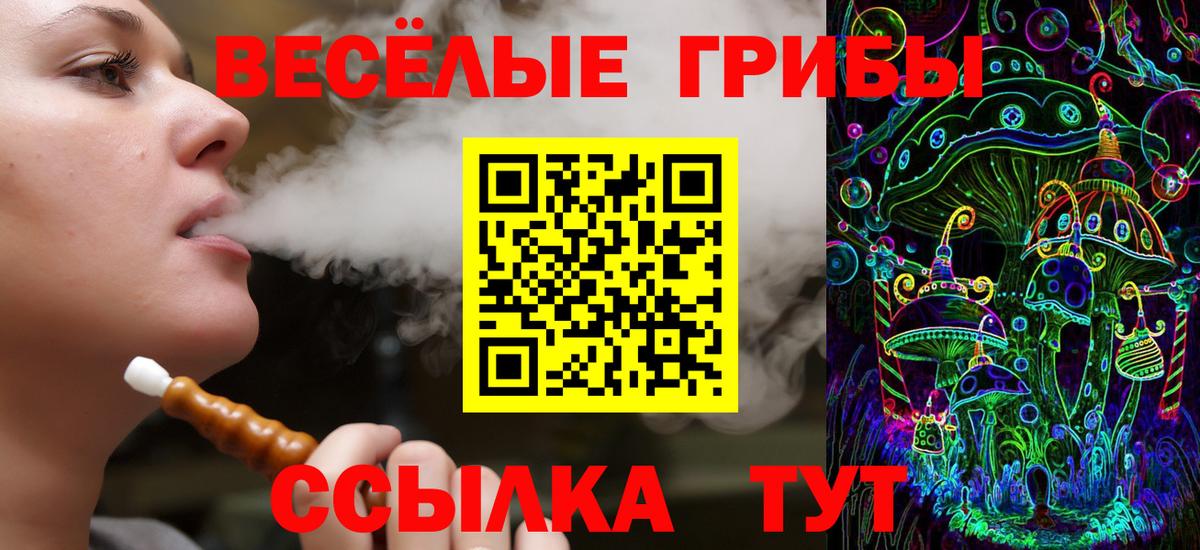 Псилоцибиновые грибы Psilocybe Белово