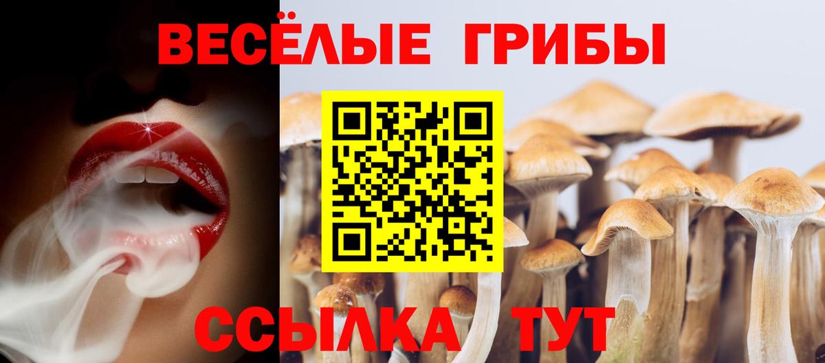 Белово  Галлюциногенные грибы ЛСД  закладка  Вход с VPN 